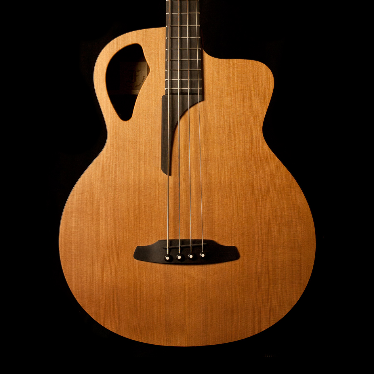 Furch Acoustic Bass B61 CM IV Gitarren Total