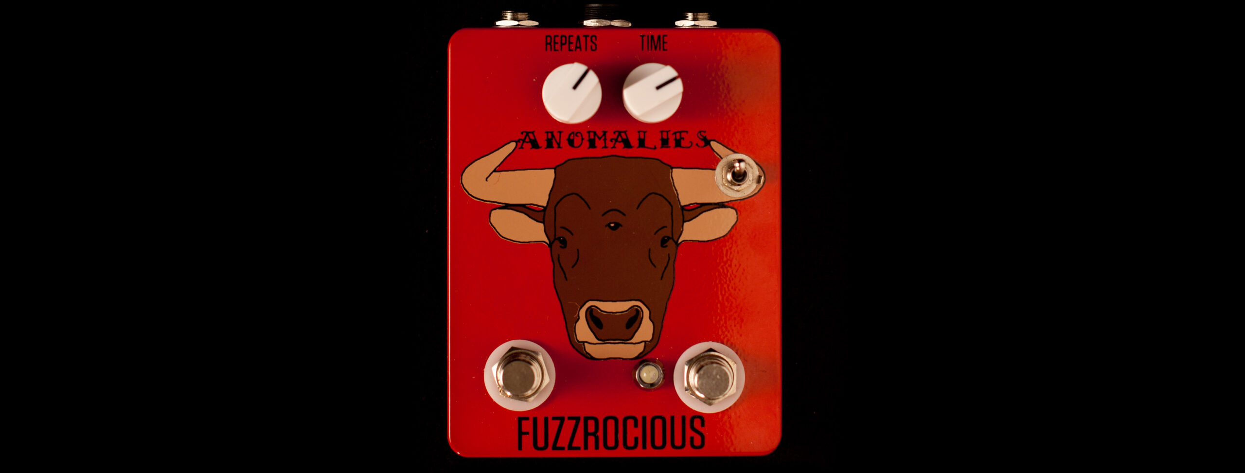 Fuzzrocious Anomalies