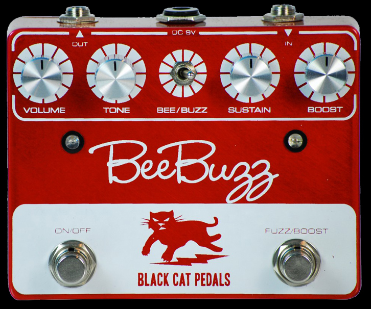 Black Cat Bee Buzz