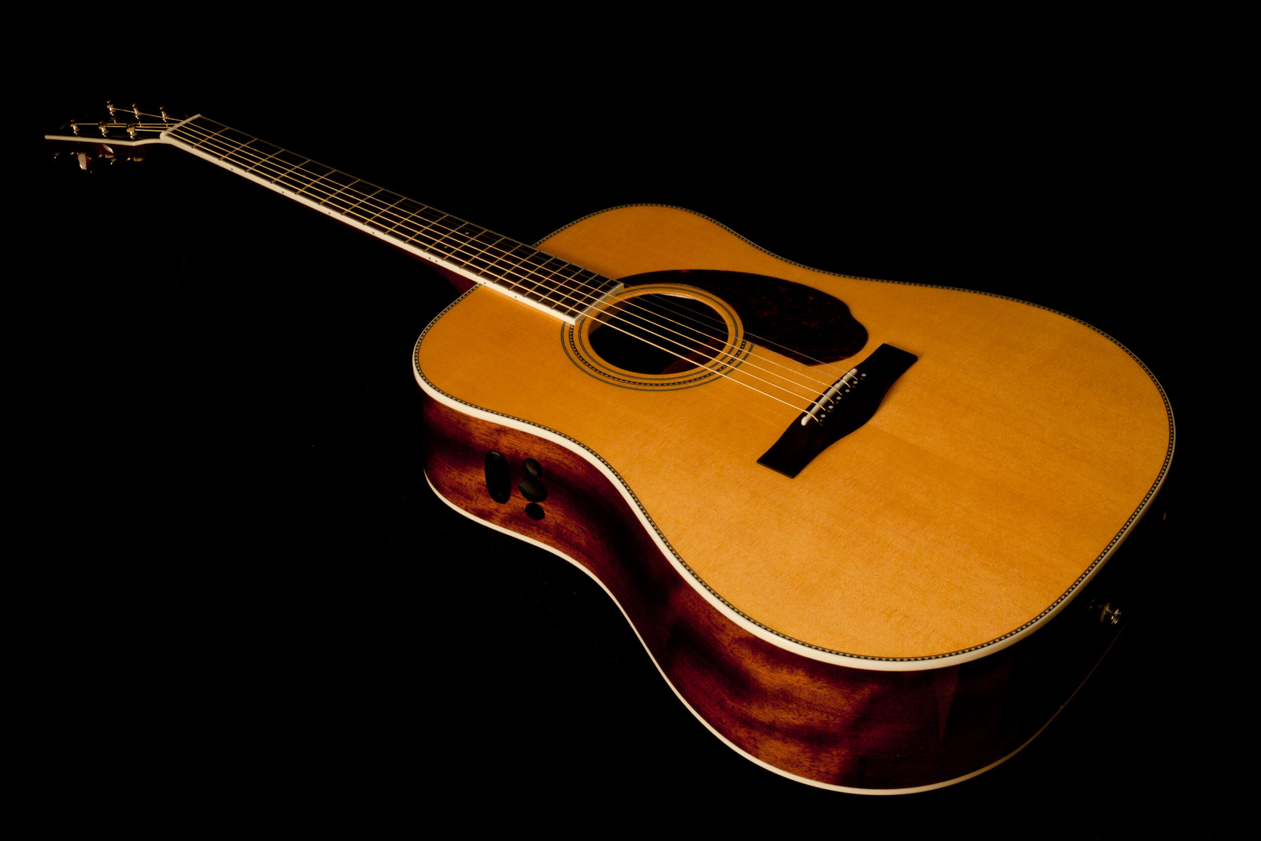 Fender PM-1 Standard Natural - Image 4