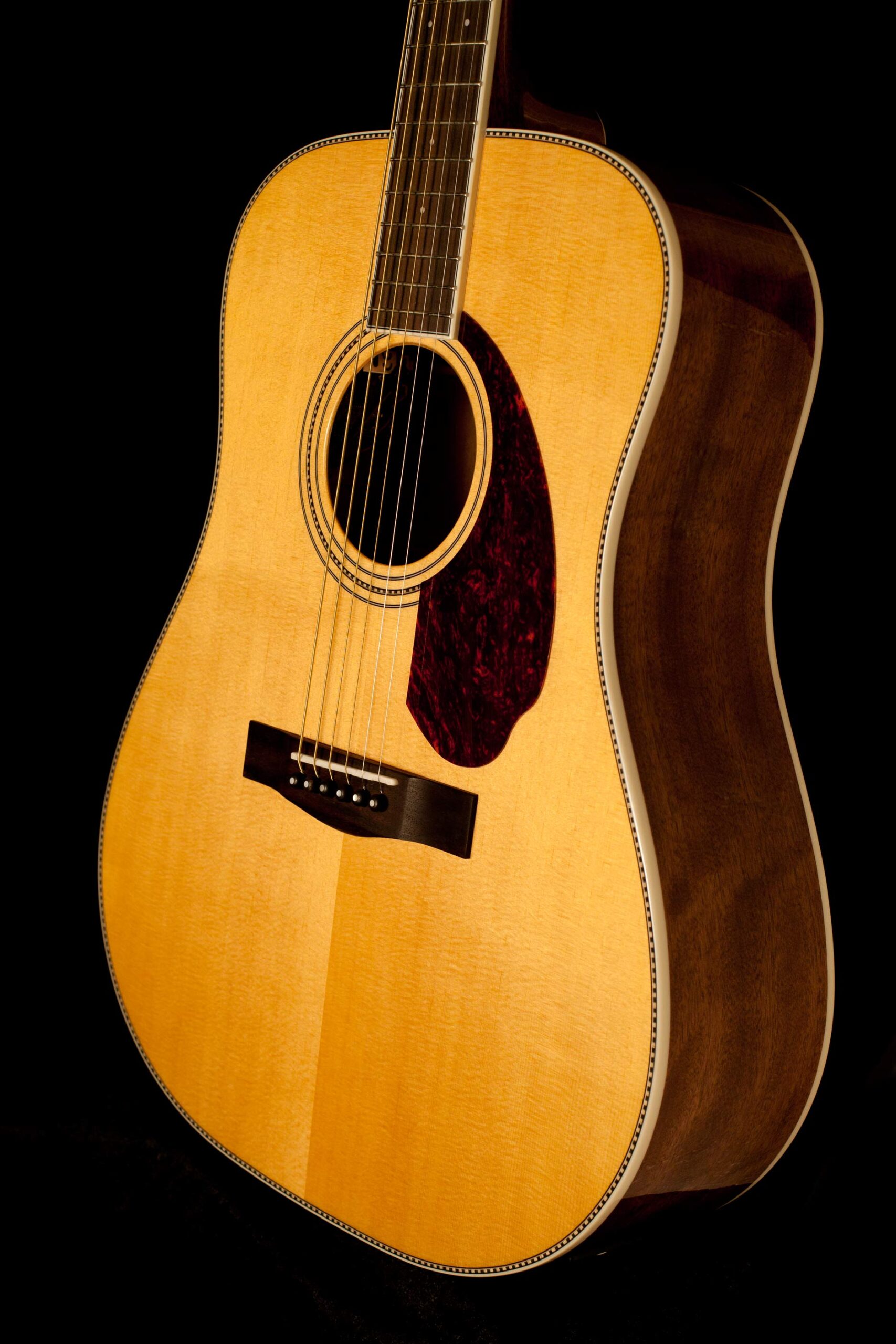 Fender PM-1 Standard Natural - Image 2
