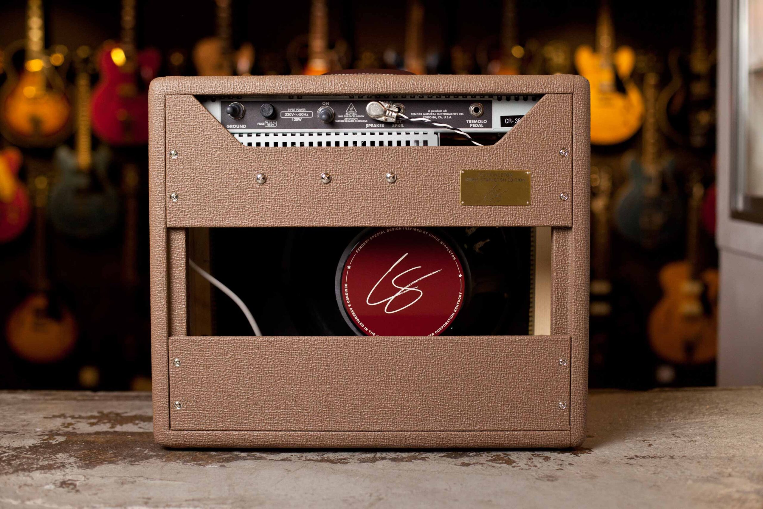 Fender Princeton Amp '62 Chris Stapleton - Image 3