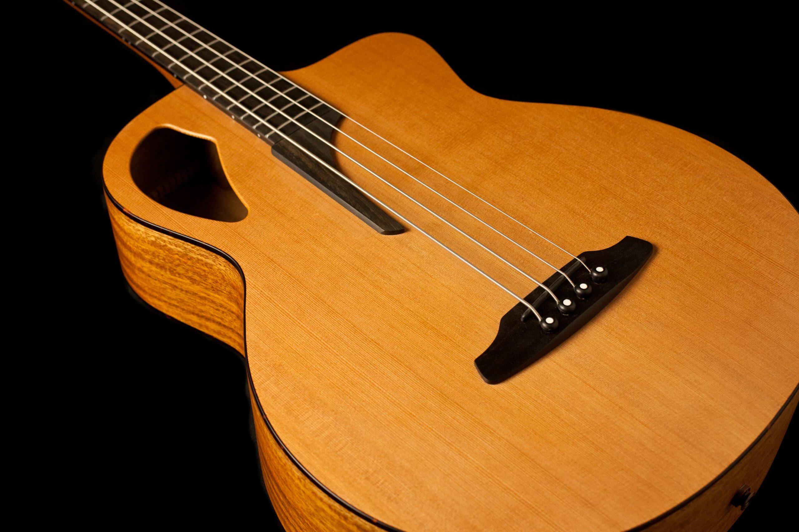Furch Acoustic Bass B61 CM IV - Image 6