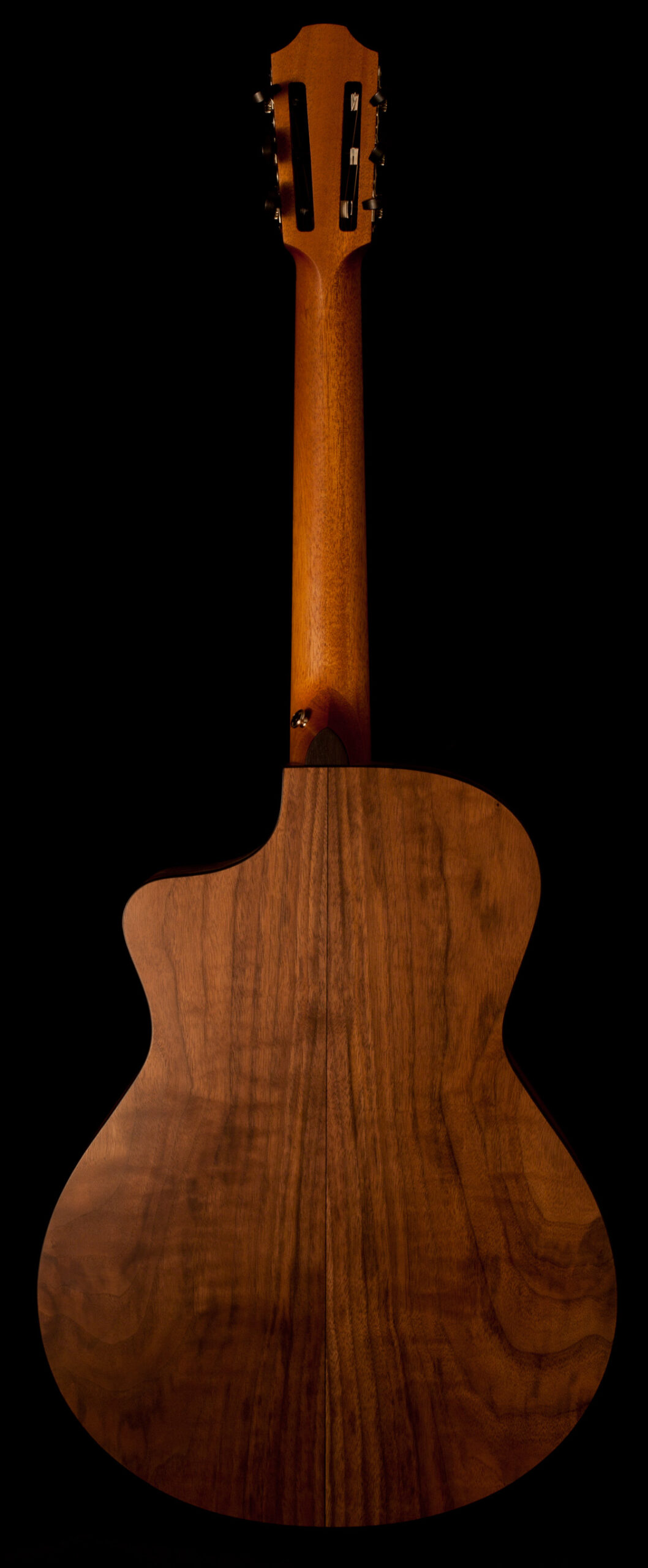 Furch Grand Nylon GN2 CW Cut - Image 3