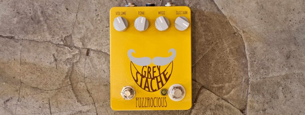 Fuzzrocious Grey Stache