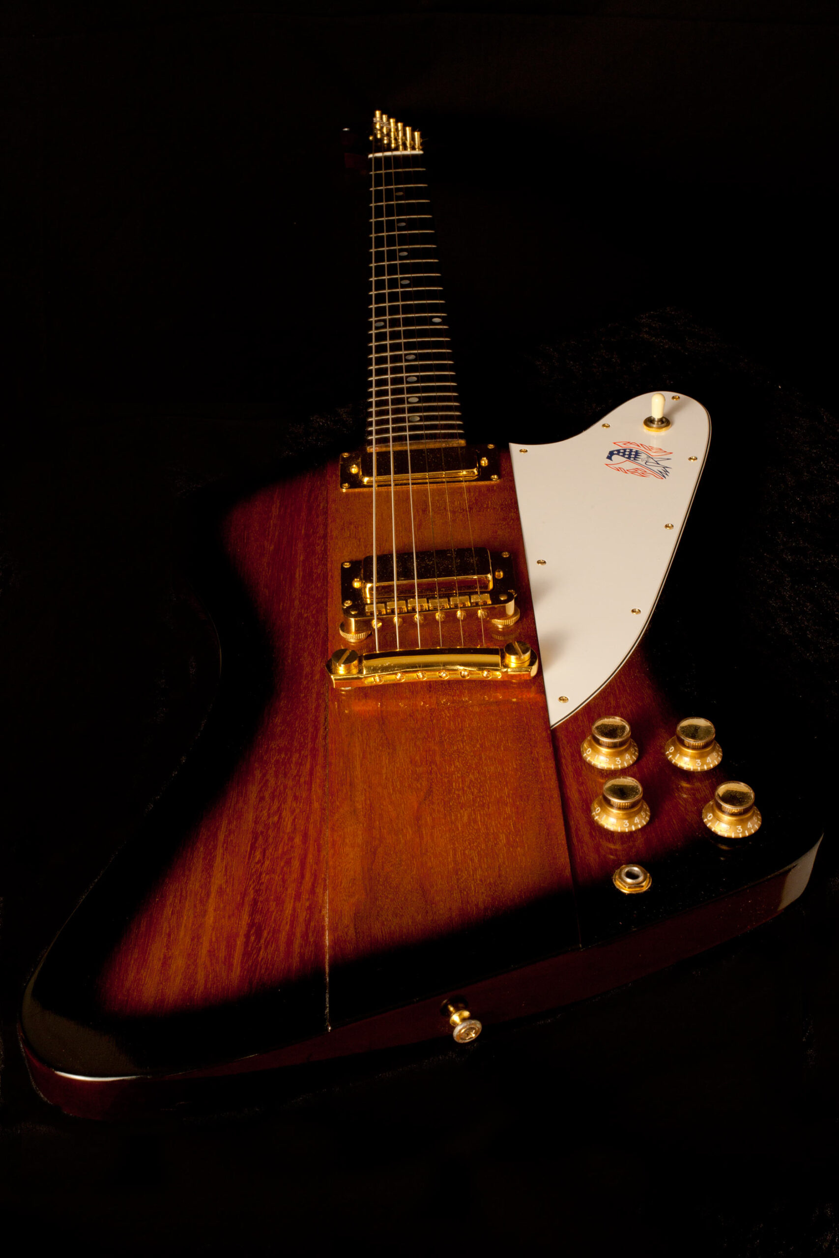 Gibson Firebird Bicentennial 1976 Anniversary - Image 6