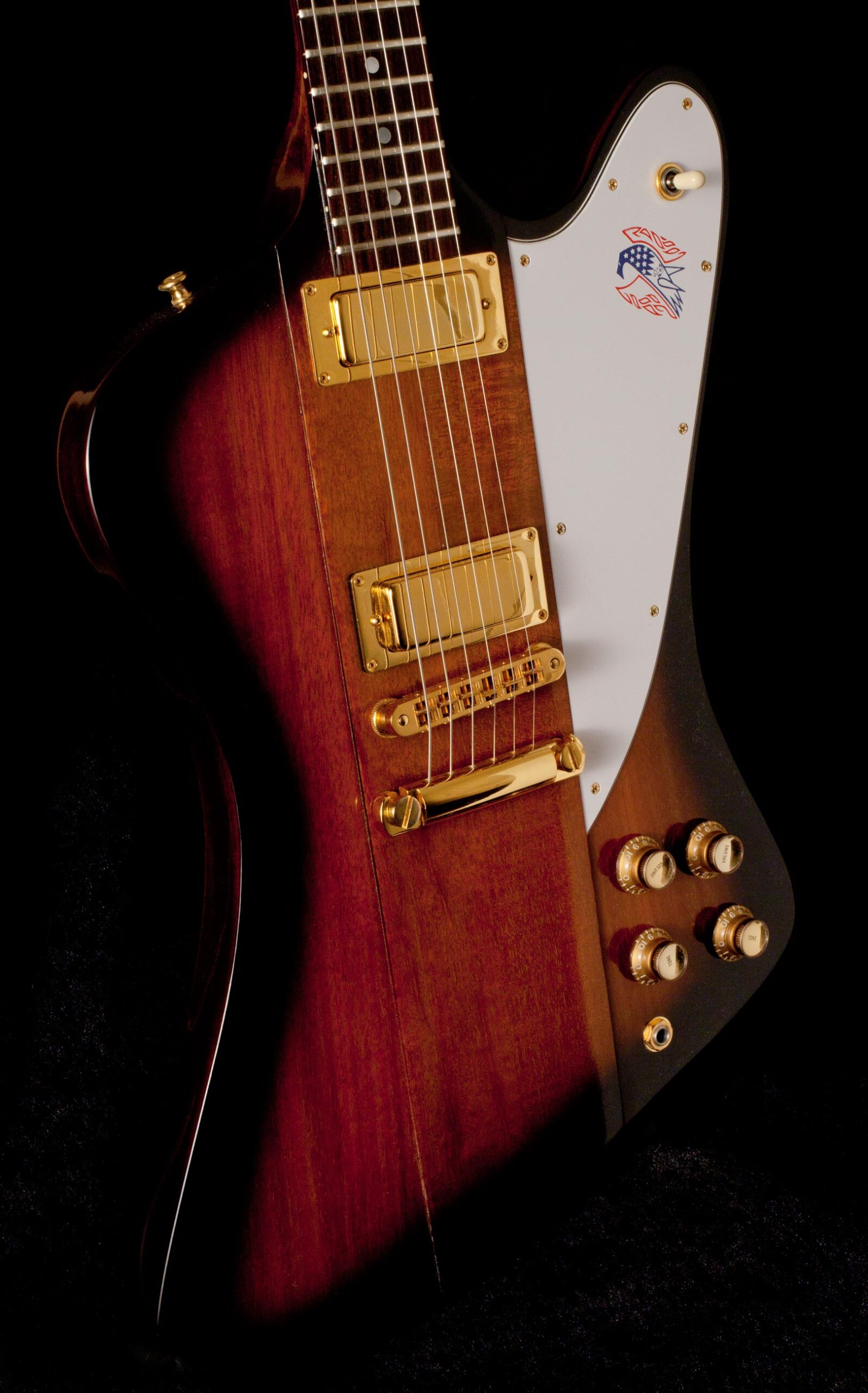 Gibson Firebird Bicentennial 1976 Anniversary - Image 3