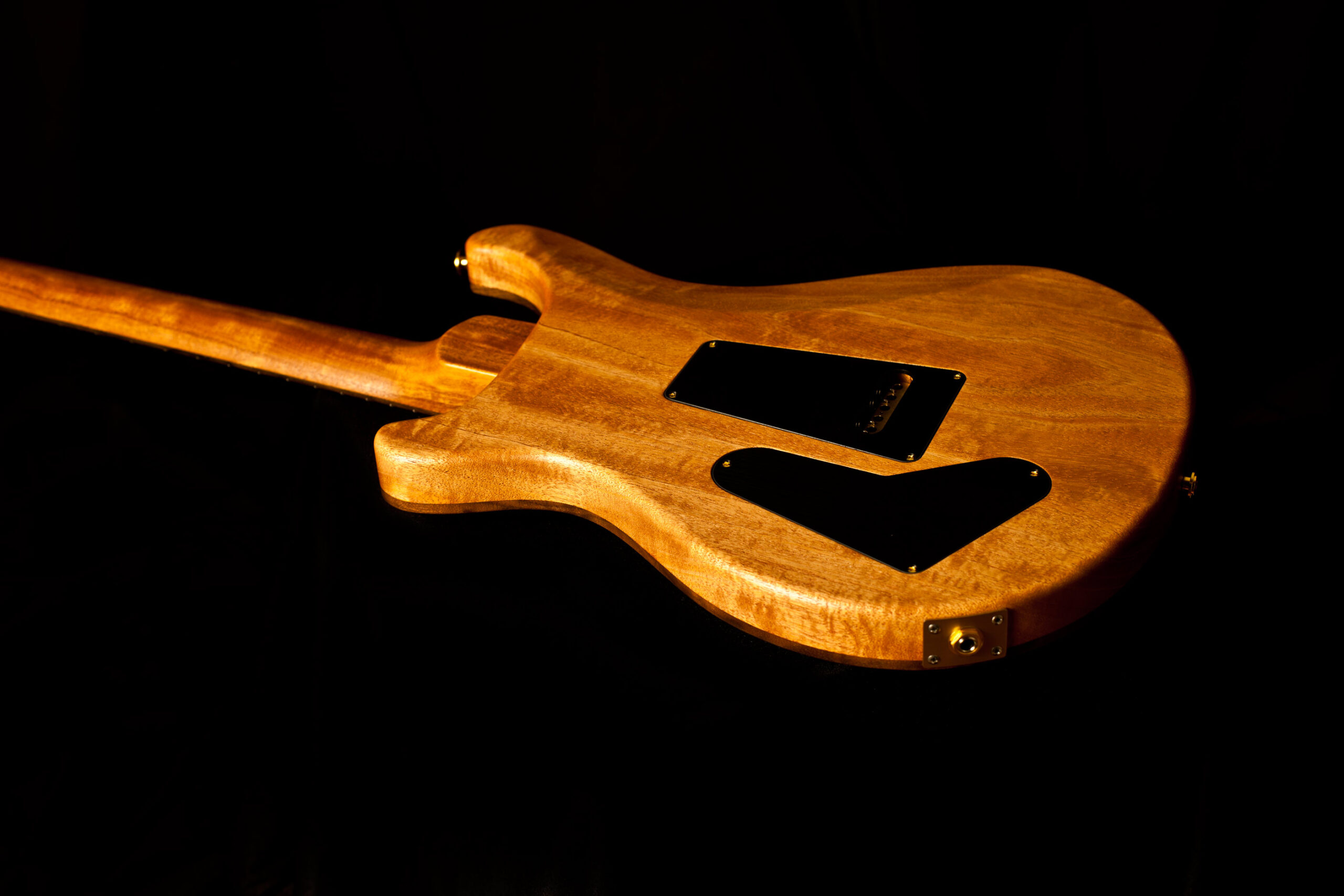 PRS Custom 22 Semi Hollow Satin Walnut "Wood Library Limited Edition" - Image 10