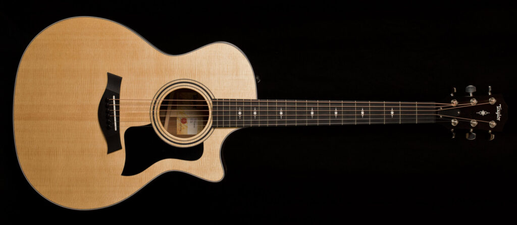 Taylor 314ce V-Class Bracing