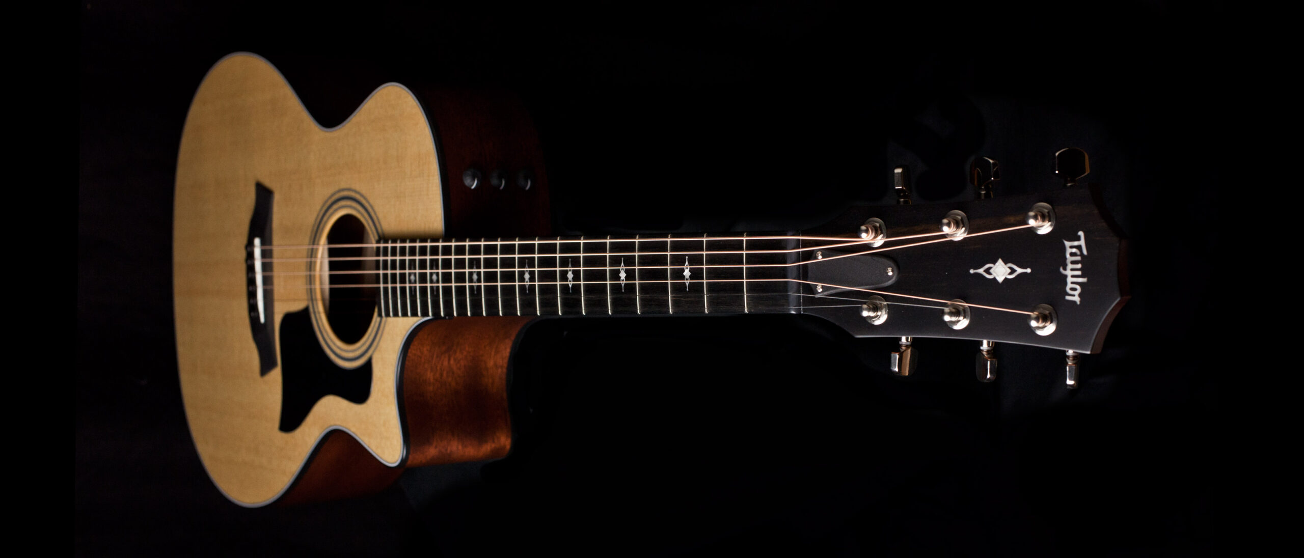 Taylor 314ce V-Class Bracing – Bild 6