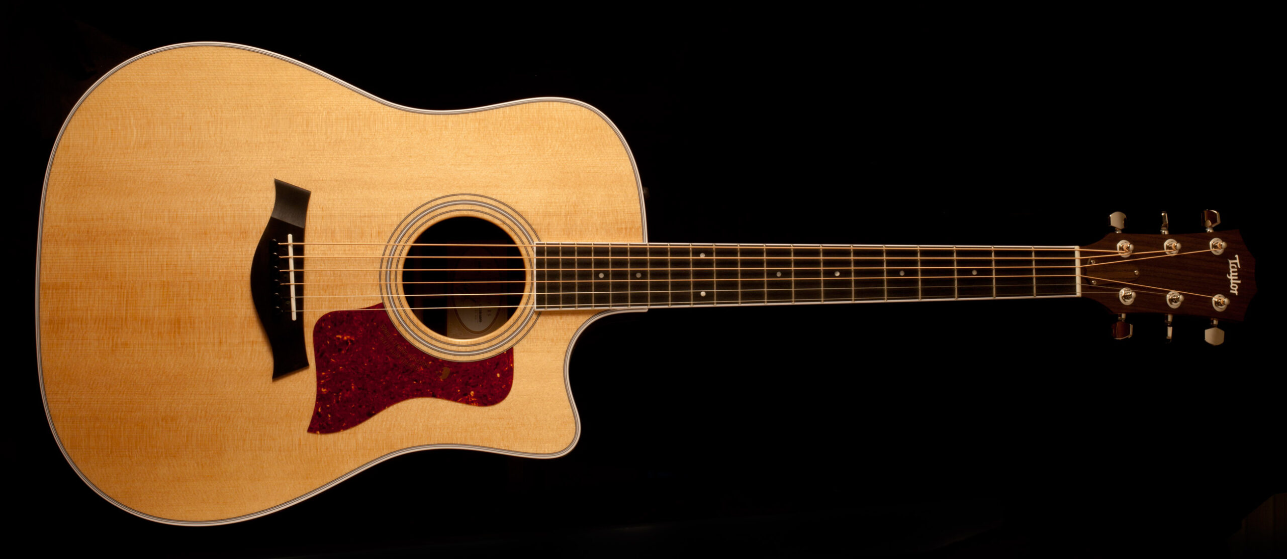 Taylor 410ce-R