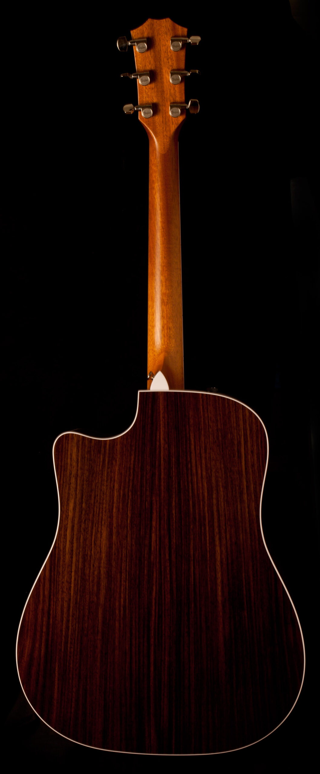 Taylor 410ce-R – Bild 2