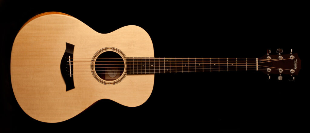 Taylor Academy 12