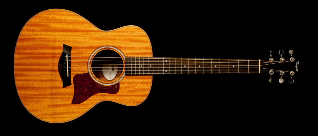 Taylor GS Mini Mahogany