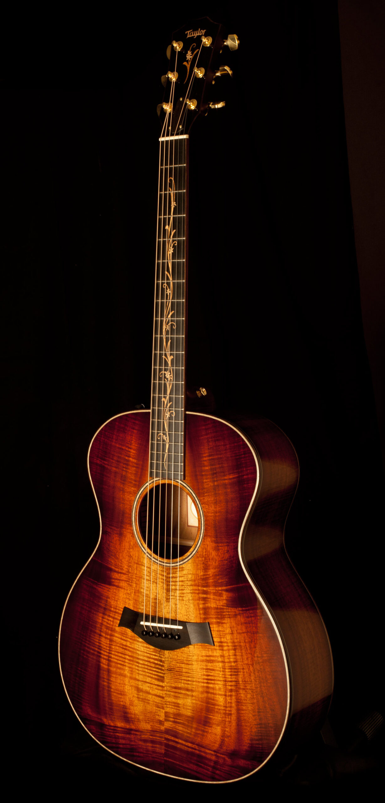 Taylor K24e – Bild 2