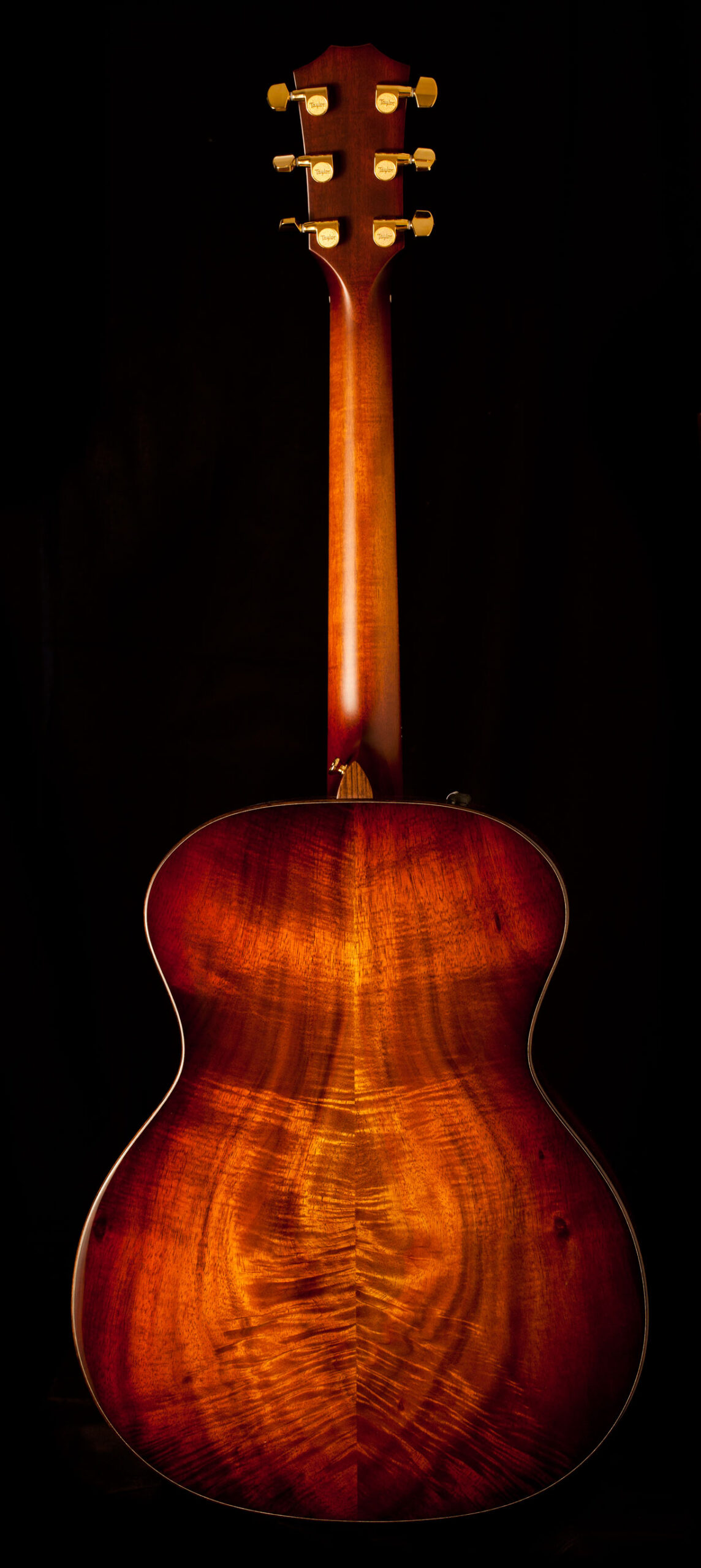 Taylor K24e – Bild 4