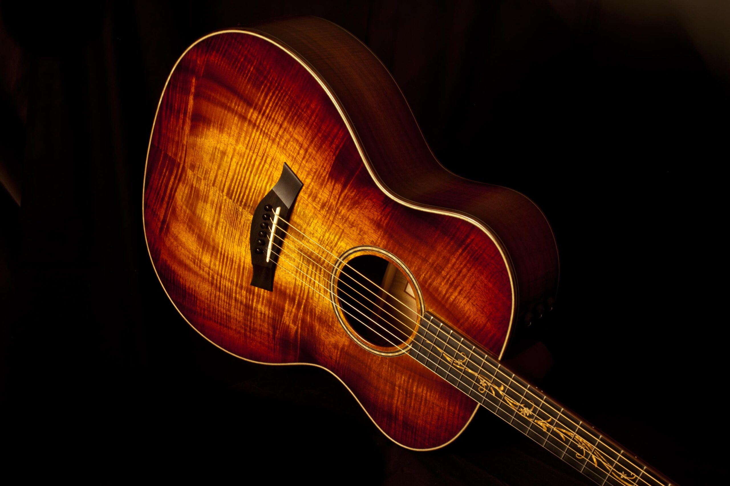 Taylor K24e – Bild 5