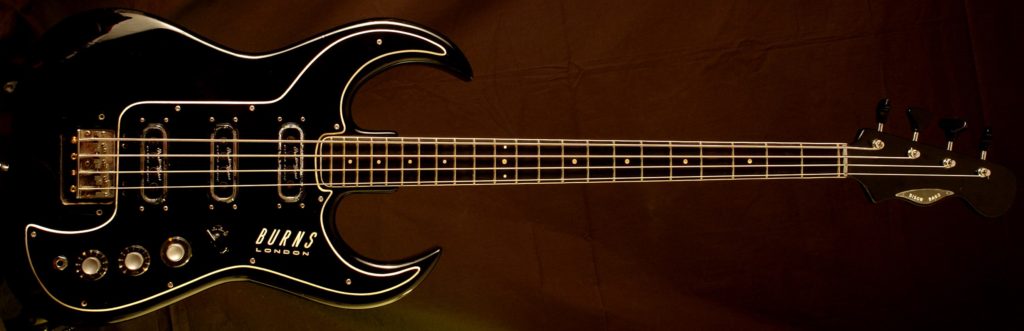 Burns Bison Bass