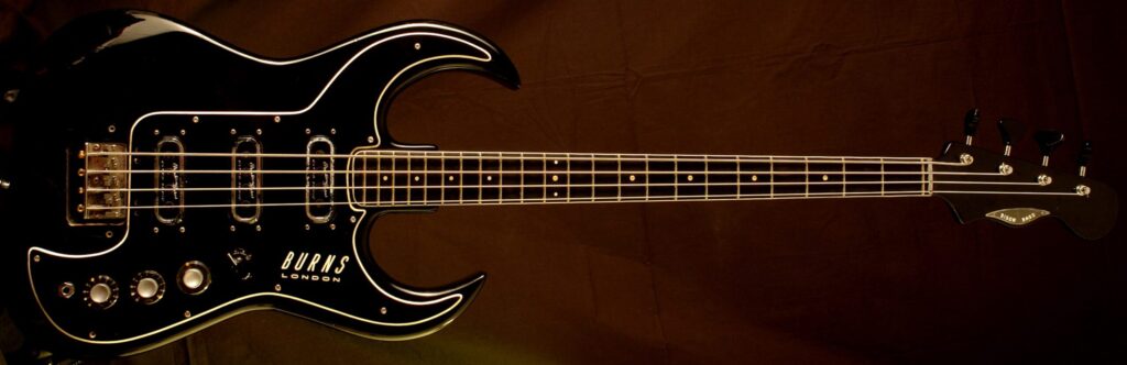 Burns Bison Bass