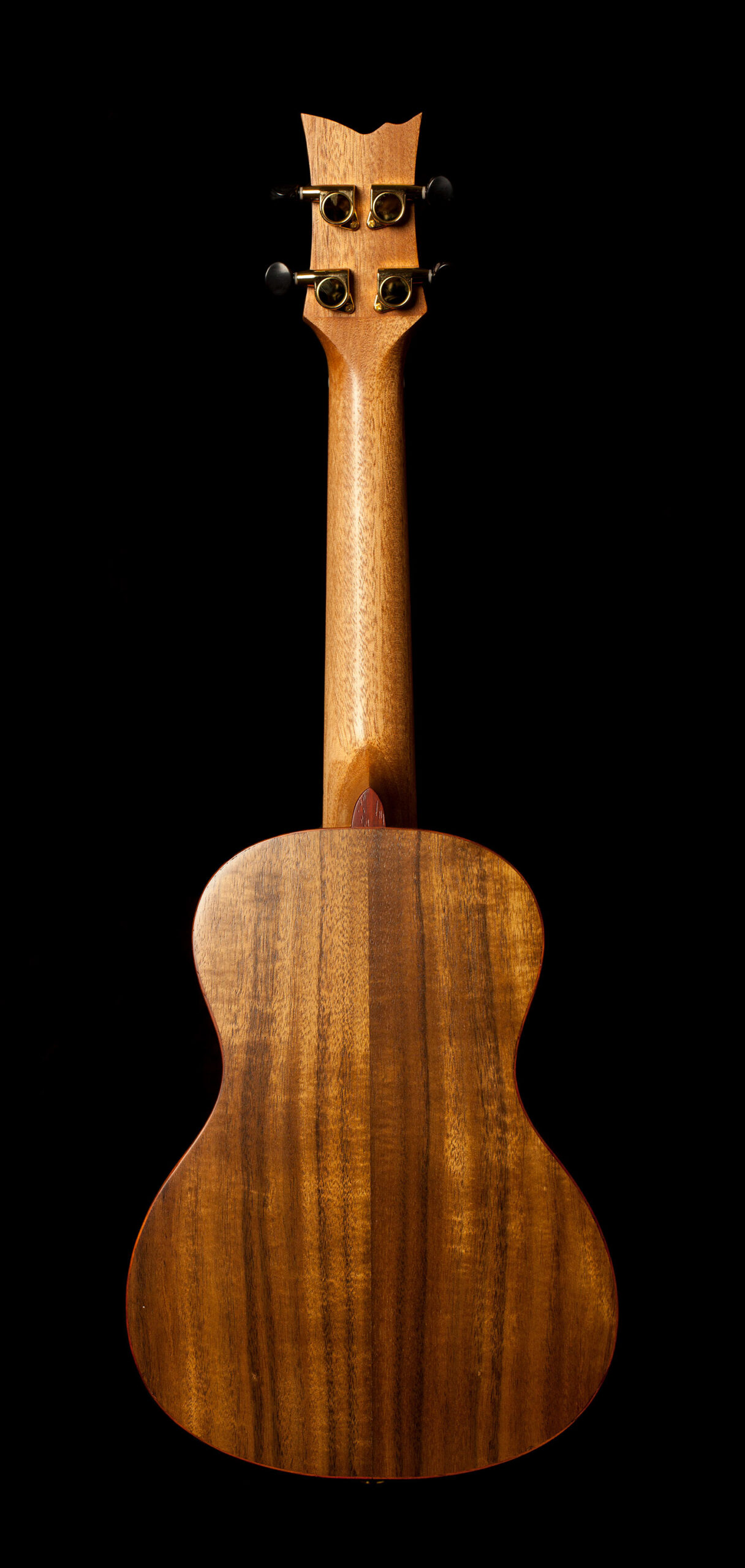 Ortega Concert Ukulele Acacia Serie Koa - Image 2