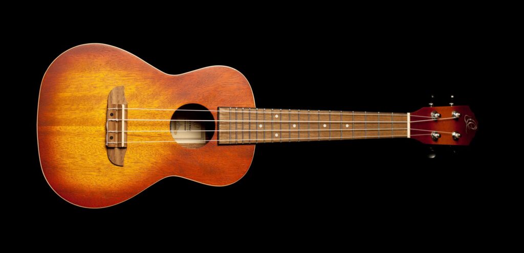 Ortega Concert Ukulele Earth Series