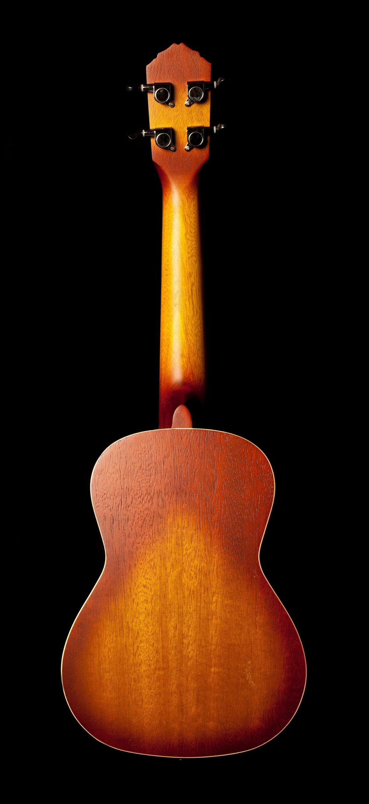 Ortega Concert Ukulele Earth Series - Image 2
