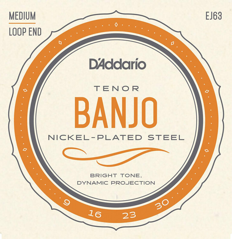 D'Addario EJ63 4-String Banjo