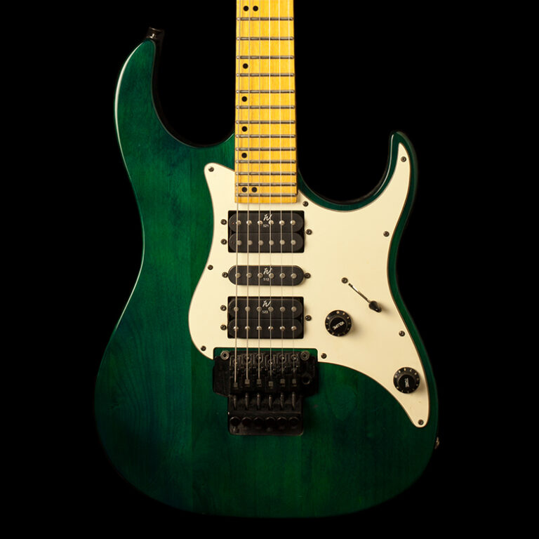 Washburn Mercury Series MG44 Gitarren Total