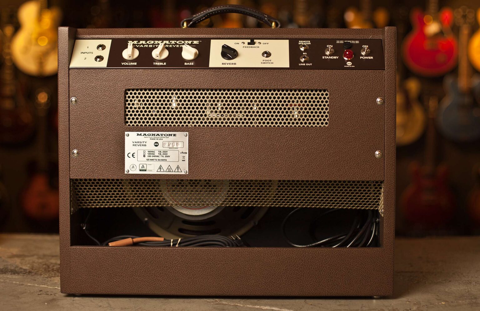 Magnatone Varsity Reverb Combo - Image 2