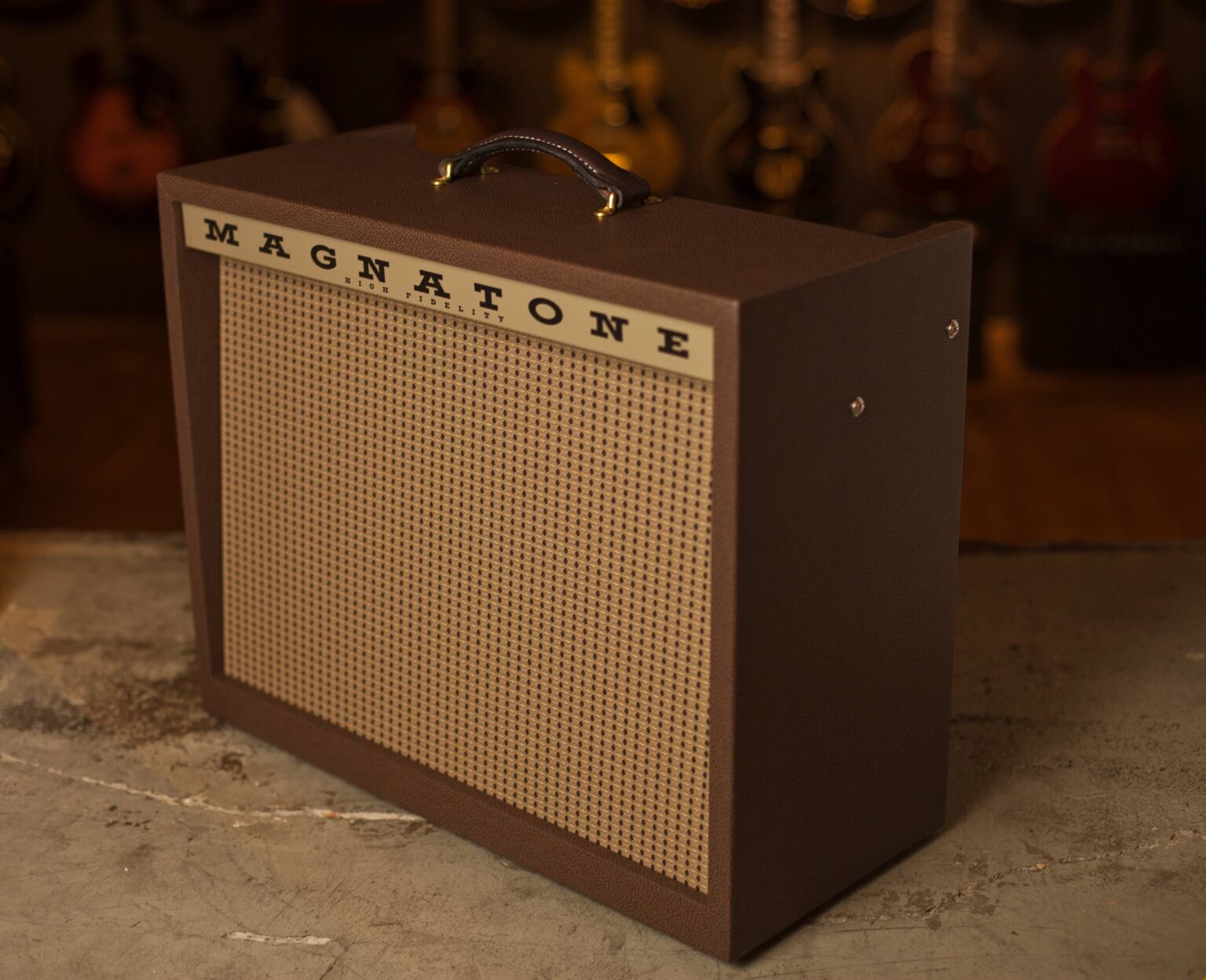 Magnatone Varsity Reverb Combo - Image 3