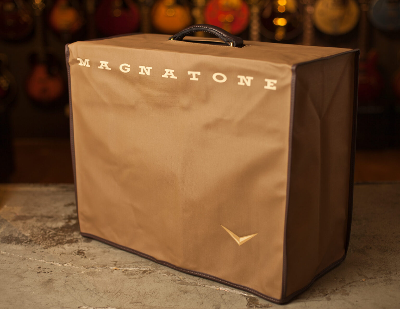 Magnatone Varsity Reverb Combo - Image 5