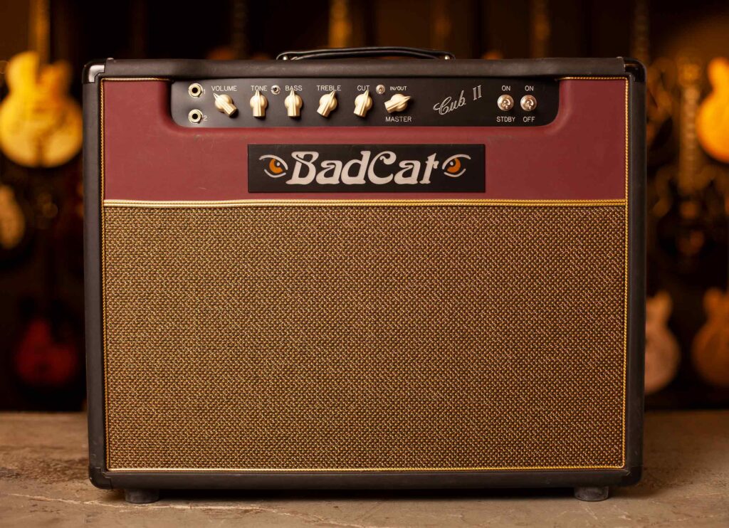 Bad Cat Cub II