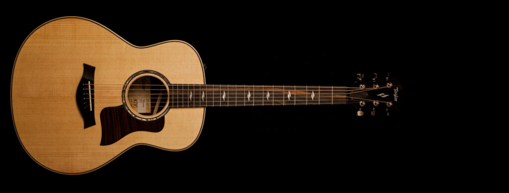 Taylor GT811e