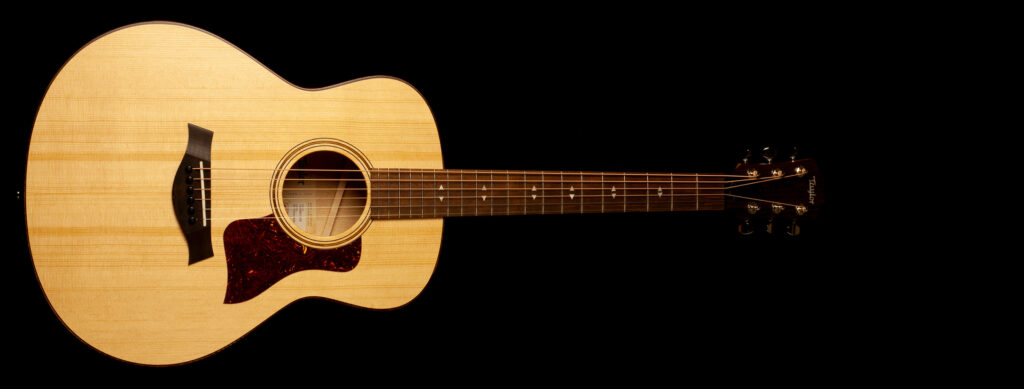 Taylor GT Urban Ash