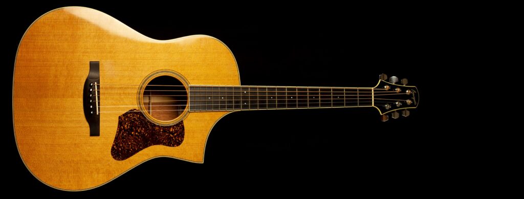 Bourgeois Martin Simpson 1998