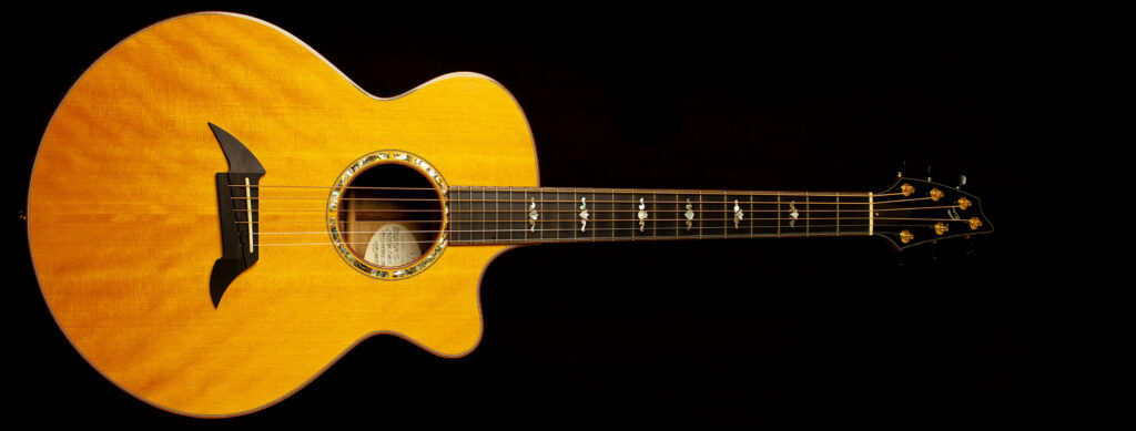 Breedlove Masterclass A25 Custom 2008