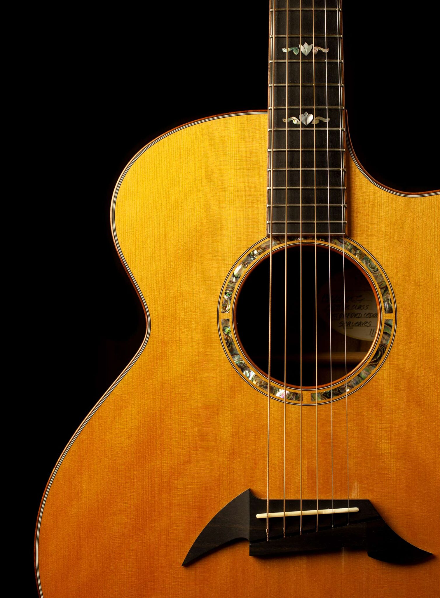 Breedlove Masterclass A25 Custom 2008 – Bild 6