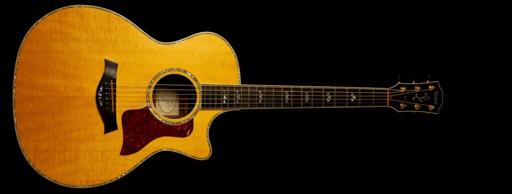 Taylor 914ce 2004
