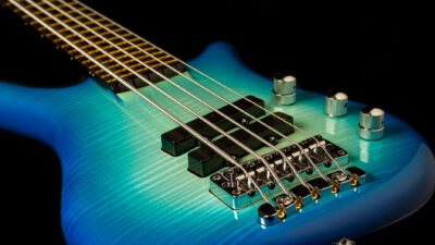 希少warwick custom shop thumbbass Warwick Custom Shop Masterbuilt - Thumb Bass NT 1