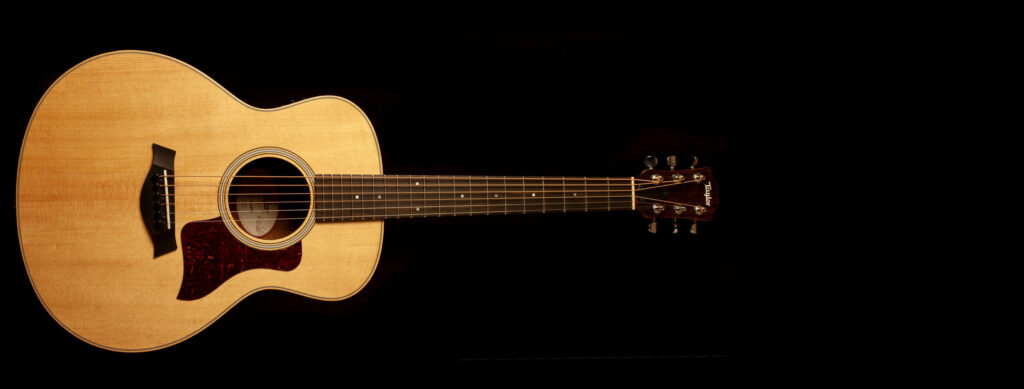 Taylor GS Mini-e Rosewood