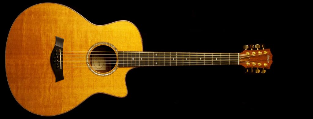 Taylor Baritone-8 2012