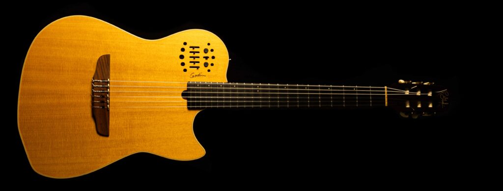 Godin Multiac Nylon SA 2009