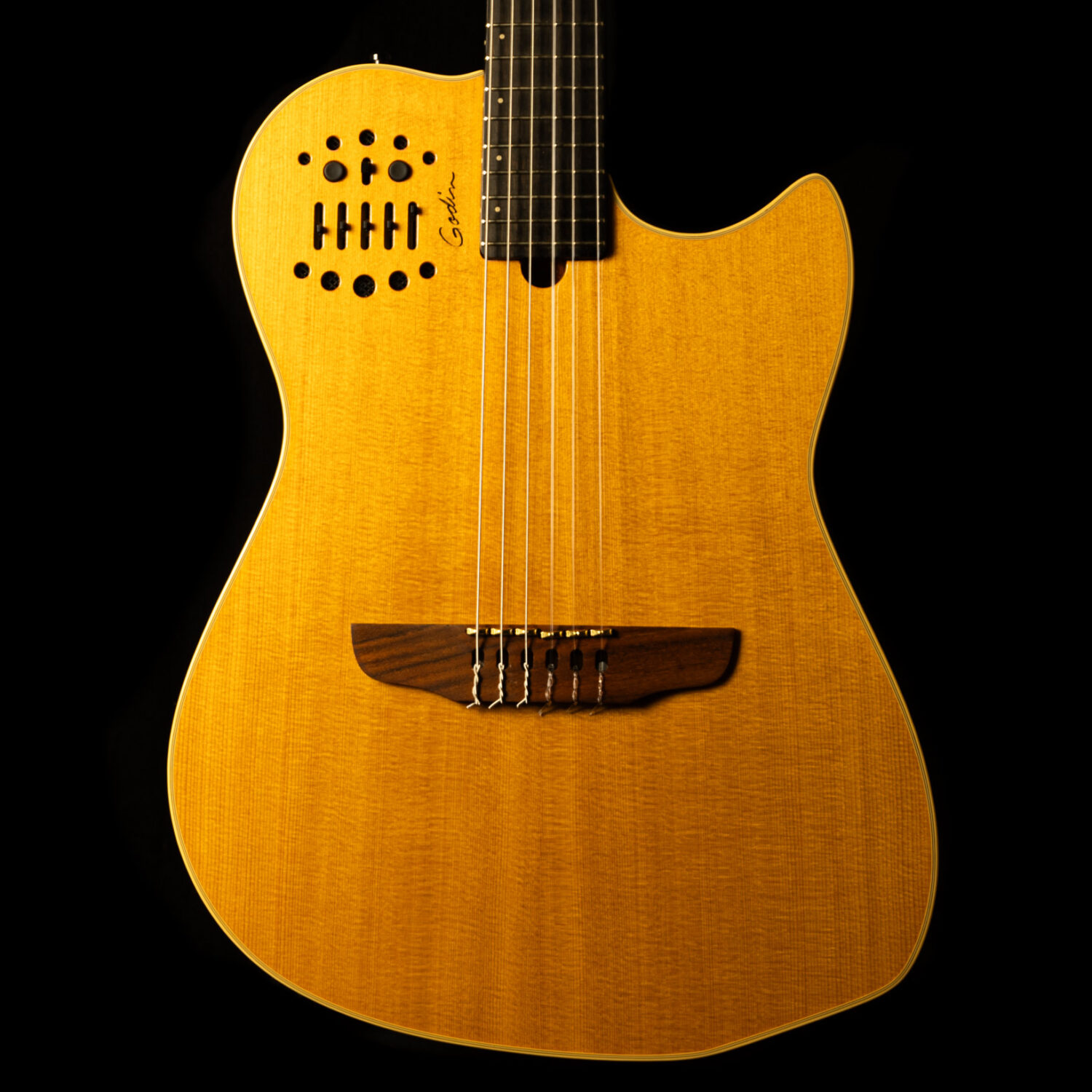 Godin Multiac Nylon SA 2009 – Bild 2