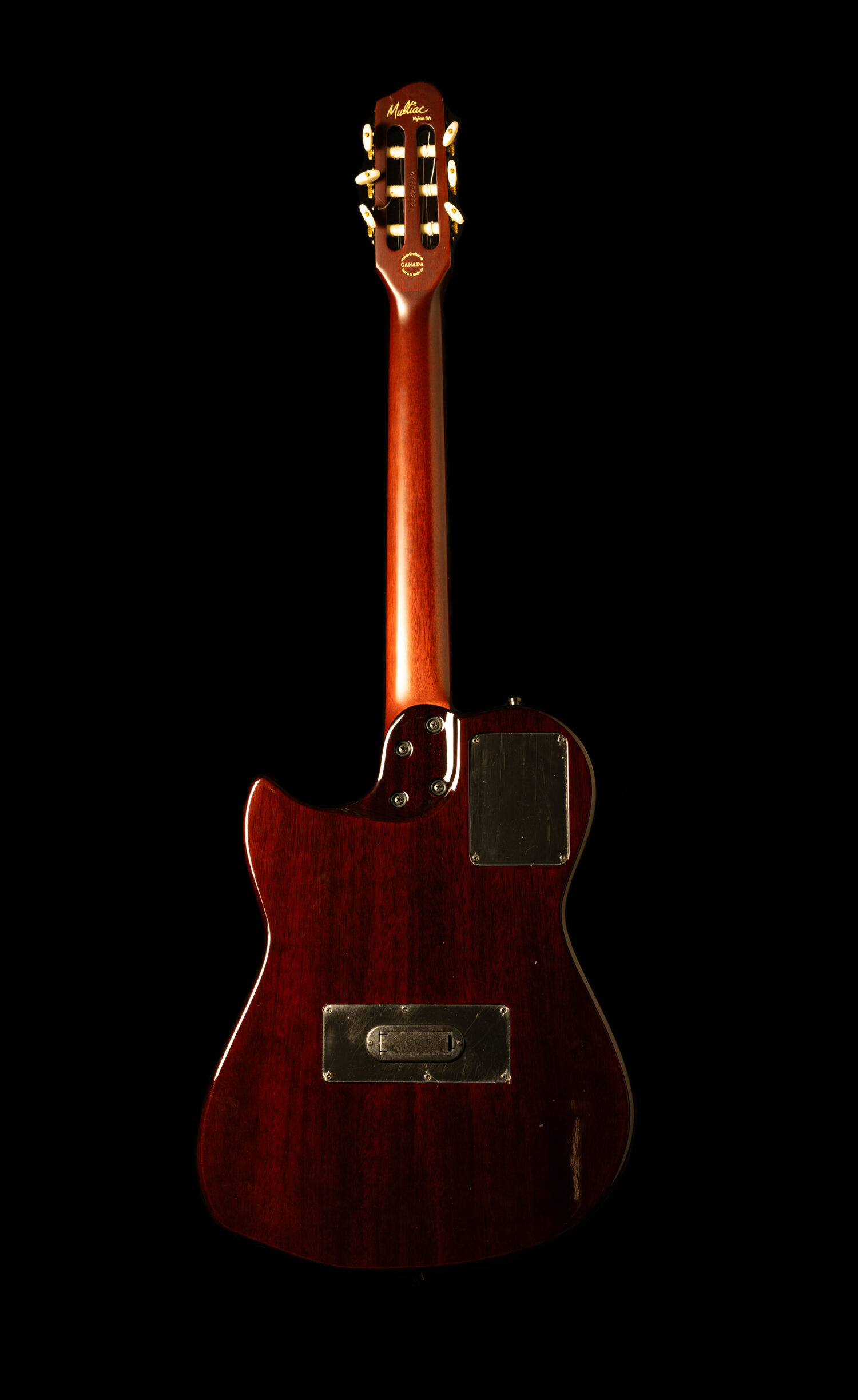 Godin Multiac Nylon SA 2009 – Bild 6
