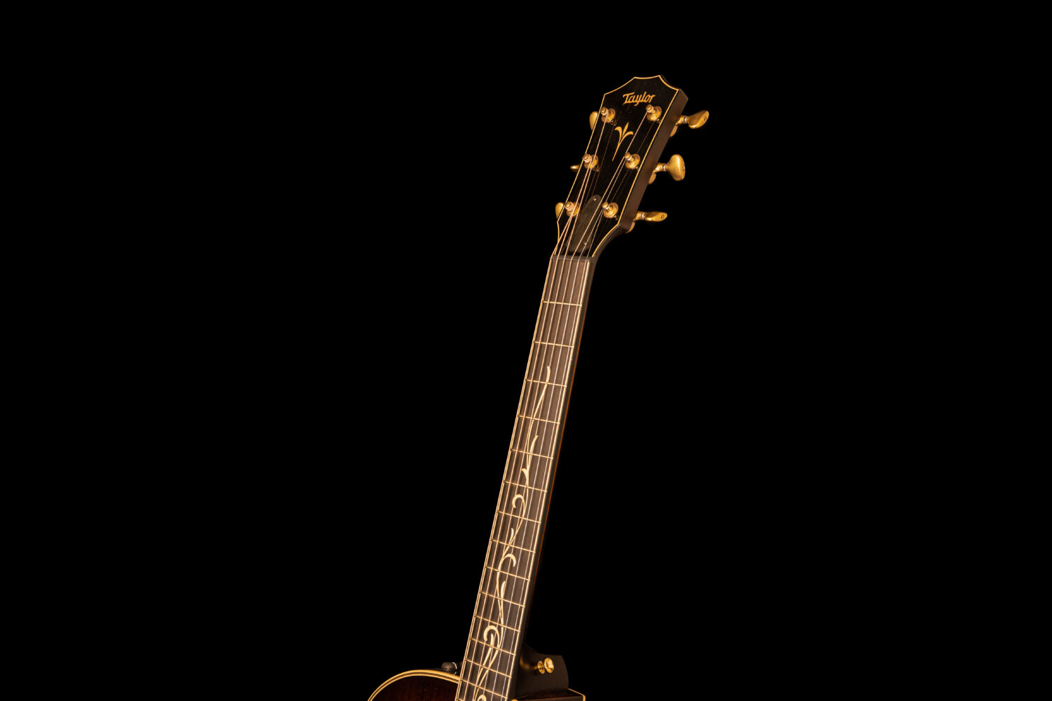 Taylor K24ce V-Class – Bild 5