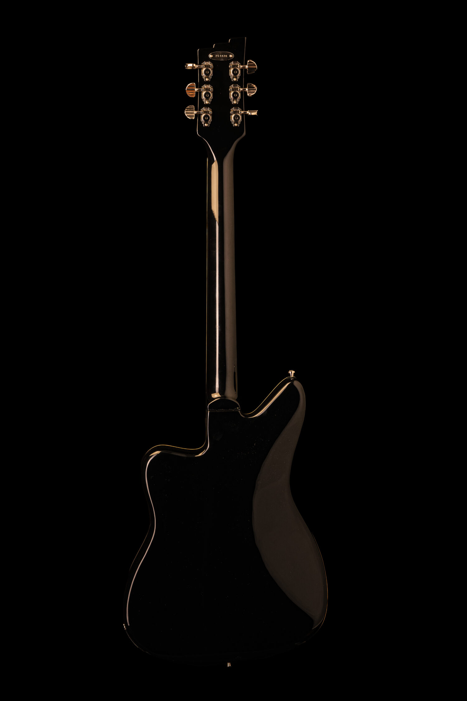 Duesenberg Alliance Series Bros. Landreth Joey's Guitar - Image 3