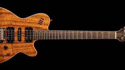 Godin xtSA Koa Limited Edition 2013 - Gitarren Total