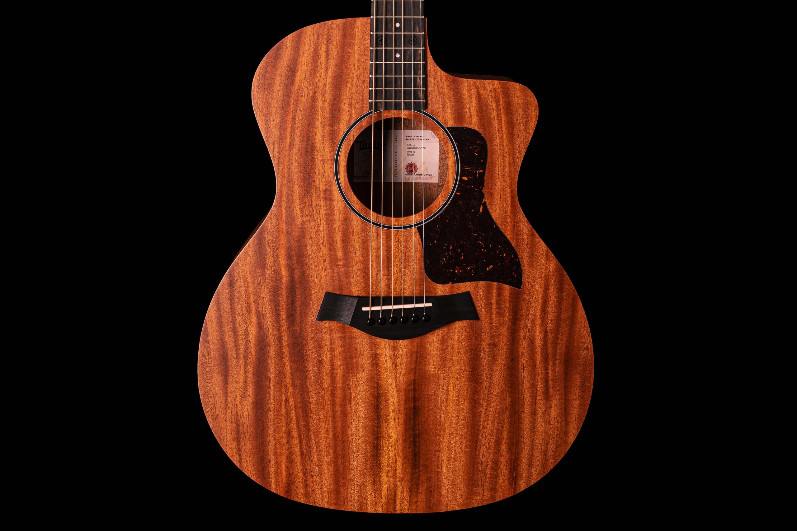 Taylor 24ce - Image 2