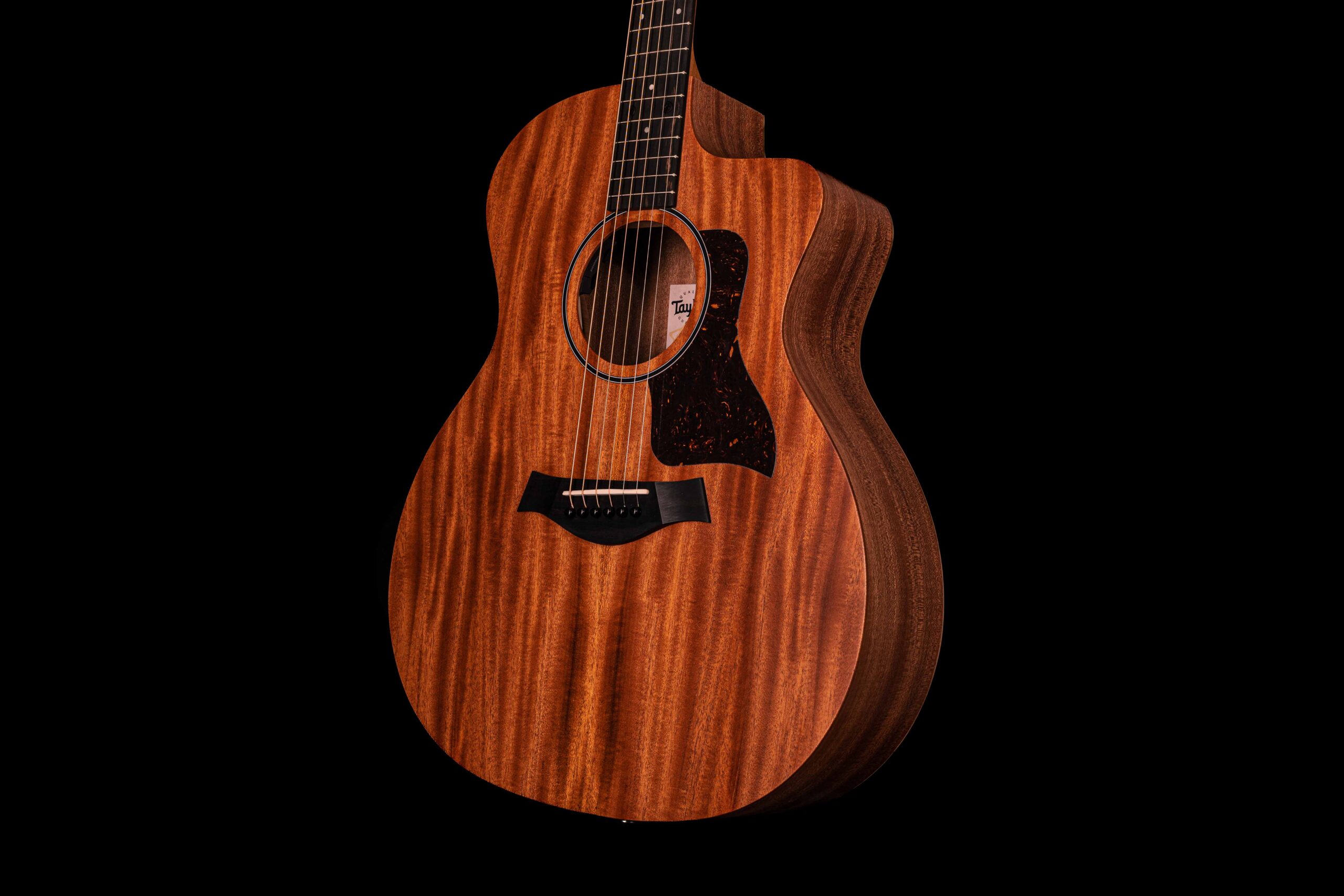 Taylor 24ce - Image 4