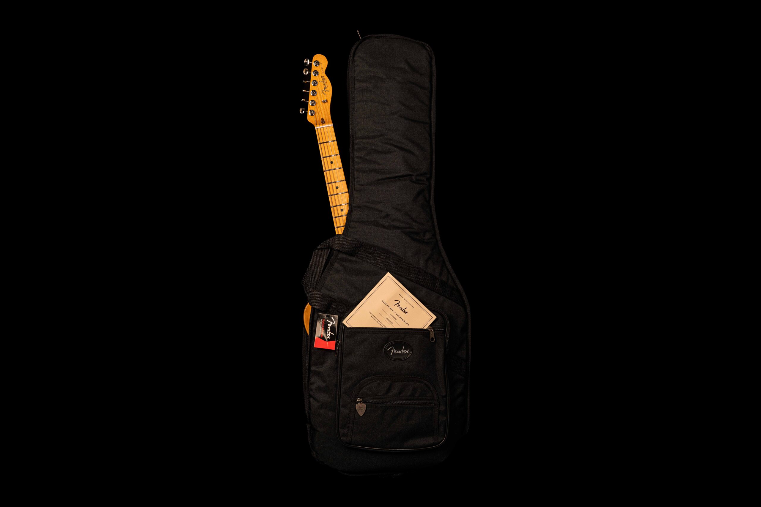 Fender Telecaster American Professional Classic Butterscotch Blonde – Bild 6